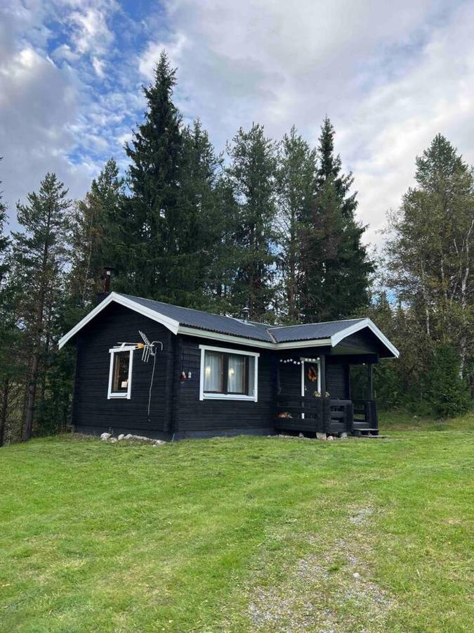 Hébergement de vacances Gemuetliches Blockhaus Im Wald Auktsjaur
